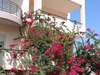 Lamno Hotel 